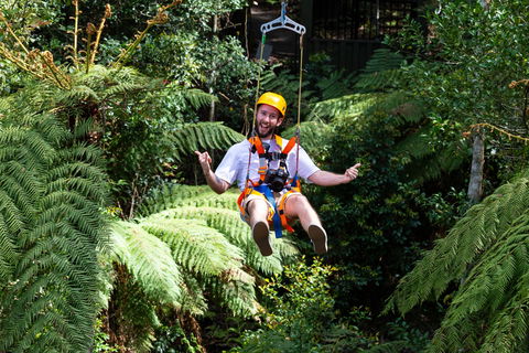 Zipline At Illawarra Fly - Accommodation Nelson Bay 2