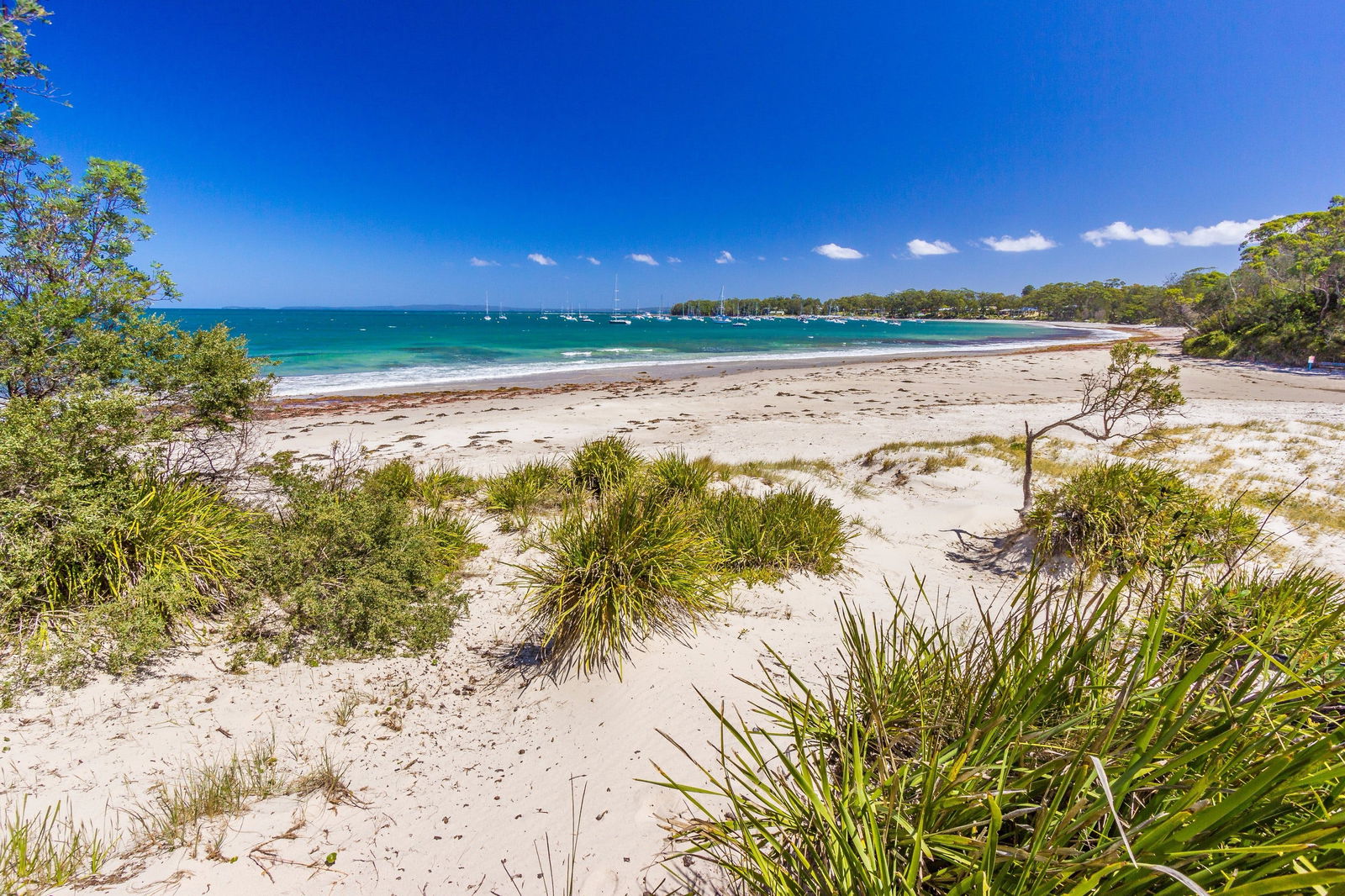 Callala Bay NSW Accommodation Nelson Bay
