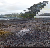 Churchill Island Marine National Park