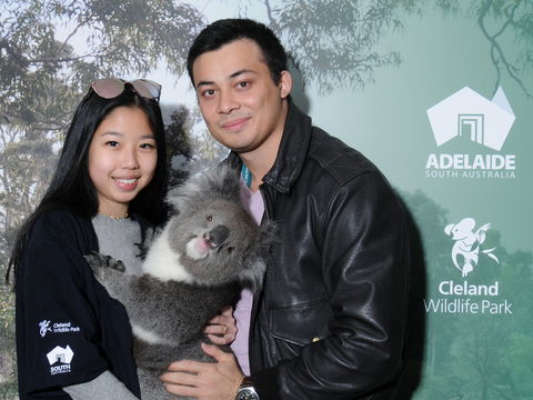 Cleland Wildlife Park - Koala Hold - Accommodation Nelson Bay 0