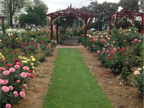 Cowra Rose Garden - Accommodation Nelson Bay 1
