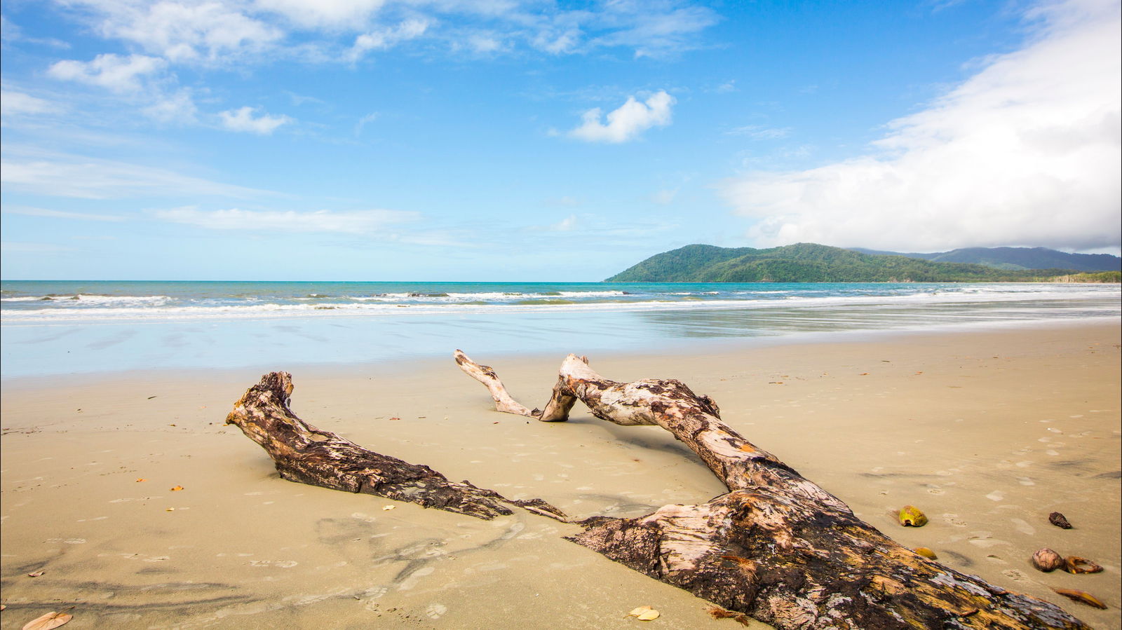 Cow Bay QLD Accommodation Nelson Bay