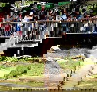 Crocodylus Park and Zoo - Accommodation Nelson Bay