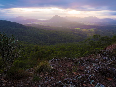 Cunninghams Gap And Spicers Gap, Main Range National Park - Accommodation Nelson Bay 0