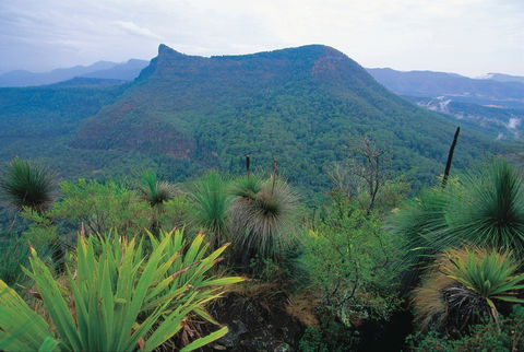 Cunninghams Gap And Spicers Gap, Main Range National Park - Accommodation Nelson Bay 1