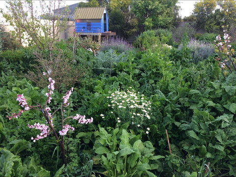Down To Earth Permaculture - Accommodation Nelson Bay 0