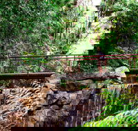 George Brown Darwin Botanic Gardens - Accommodation Nelson Bay
