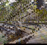 Governor Summit Corrunbral Borawah Walking Track - Accommodation Nelson Bay