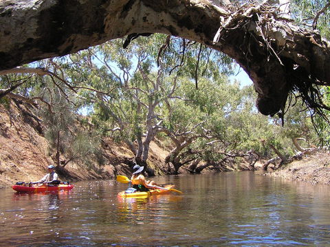 Greenough River Nature Trail - Accommodation Nelson Bay 1