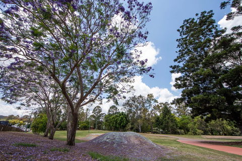 John Scott Park - Accommodation Nelson Bay 0