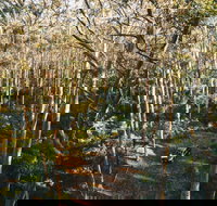 Leeuwin-Naturaliste National Park - Cowaramup