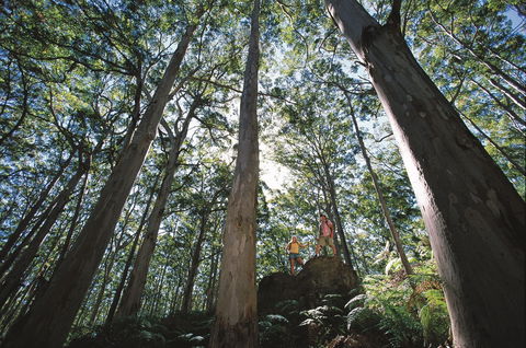 Leeuwin-Naturaliste National Park - Leeuwin - Accommodation Nelson Bay 0