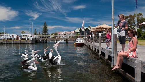 Metung VIC Accommodation Nelson Bay