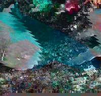 Middle Reef Dive Site - Accommodation Nelson Bay