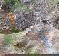 Mill-bullah Walking Track - Accommodation Nelson Bay