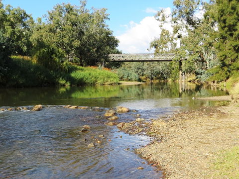 Namoi River And Woolshed Reserve - Accommodation Nelson Bay 0