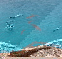 Nullarbor National Park - Accommodation Nelson Bay