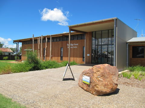 Pilliga Forest - Accommodation Nelson Bay 2