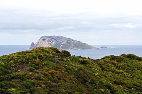 Point D'Entrecasteaux - Accommodation Nelson Bay 0