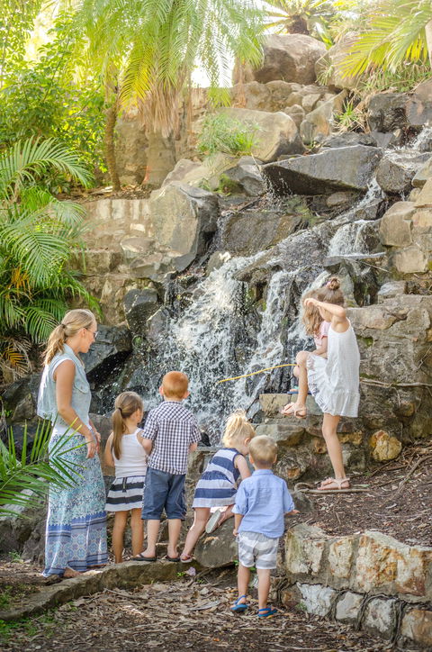 Queens Park Waterfall - Accommodation Nelson Bay 0