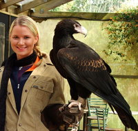 Raptor Domain - Accommodation Nelson Bay