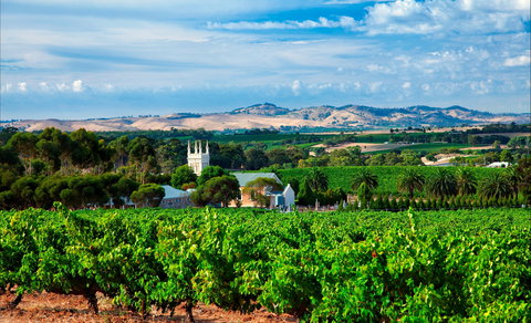 Seppeltsfield Road Barossa Valley - Accommodation Nelson Bay 1