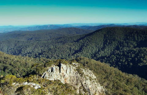 Tapin Tops National Park - Accommodation Nelson Bay 0