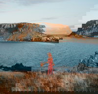 The Nut - Accommodation Nelson Bay