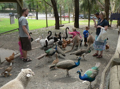 The Big Rocking Horse And The Toy Factory - Accommodation Nelson Bay 2