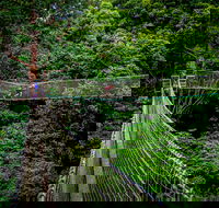 Thunderbird Park  - Tamborine Mountain Gold Coast Region - Accommodation Nelson Bay