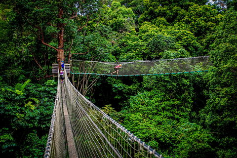 Thunderbird Park ® - Tamborine Mountain, Gold Coast Region - Accommodation Nelson Bay 0
