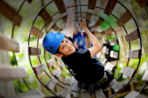 Thunderbird Park ® - Tamborine Mountain, Gold Coast Region - Accommodation Nelson Bay 1