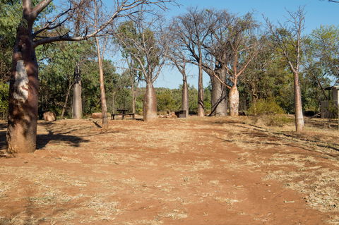 Timber Creek - Accommodation Nelson Bay 1