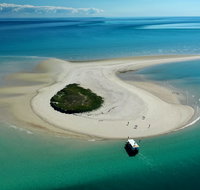 Turtle Discovery - Accommodation Nelson Bay