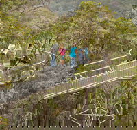 Walpole Wilderness Discovery Centre - Accommodation Nelson Bay