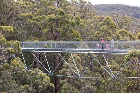 Walpole Wilderness Discovery Centre - Accommodation Nelson Bay 1