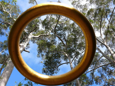 Walpole Wilderness Discovery Centre - Accommodation Nelson Bay 2