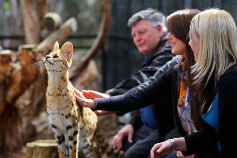 Werribee Open Range Zoo - Accommodation Nelson Bay 0