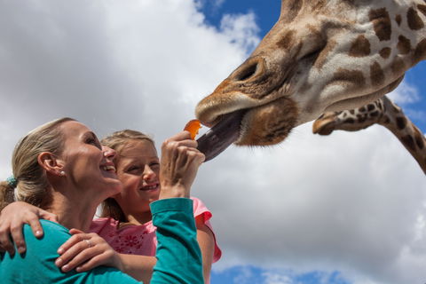 Werribee Open Range Zoo - Accommodation Nelson Bay 2