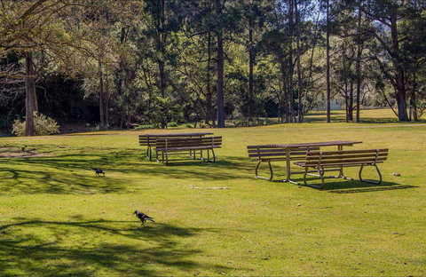 Wombeyan Picnic Area - Accommodation Nelson Bay 0