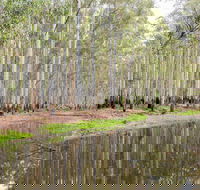 Wonga Wetlands - Accommodation Nelson Bay