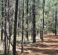 Yana-y Warruwi Walking Track - Accommodation Nelson Bay