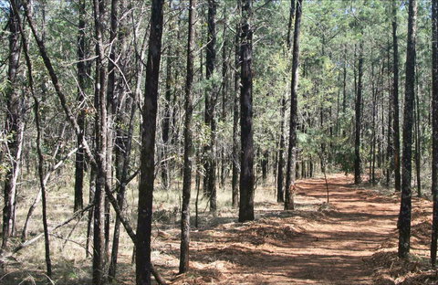 Yana-y Warruwi Walking Track - Accommodation Nelson Bay 0