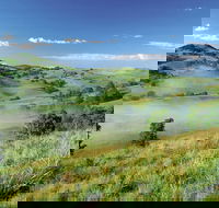 Bega - Accommodation Nelson Bay