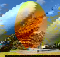 Big Mango - Accommodation Nelson Bay