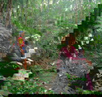 Binna Burra Lamington National Park