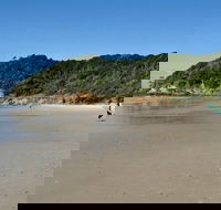 Broken Head Nature Reserve - Accommodation Nelson Bay