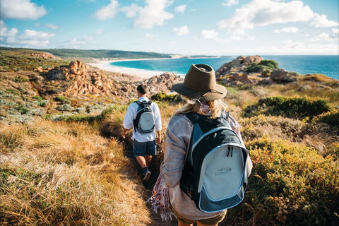 Cape To Cape Track - Accommodation Nelson Bay 1