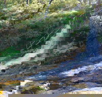 Charles Darwin walk - Accommodation Nelson Bay