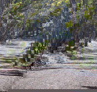 Coolah Tops National Park - Accommodation Nelson Bay